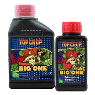 TOP CROP BIG ONE 100ML