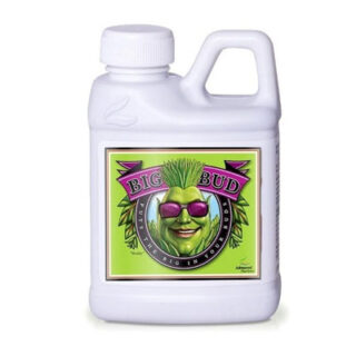 ADVANCED NUTRIENTS BIG BUD 250ML