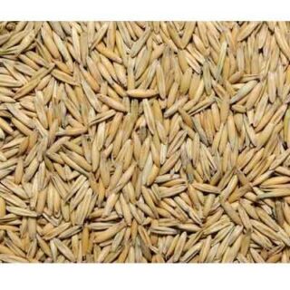 AVENA FORRAJERA POR KILOGRAMO