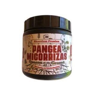 MICORRIZAS PREMIUM PANGEA – QUEEN OF THE GROUND 250GR