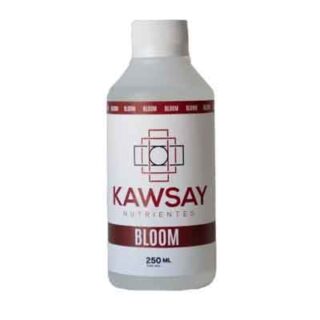 KAWSAY – BLOOM 250ML