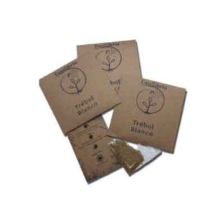 SEMILLA DE TREBOL BLANCO EQUILIBRIO O POWER TREBOL